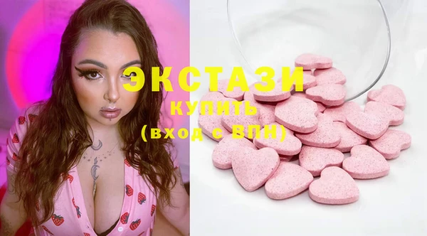 МДПВ Бородино