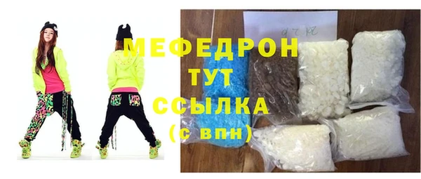 МДПВ Бородино