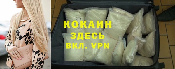 МДПВ Бородино
