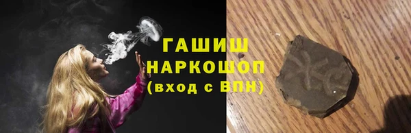 МДПВ Бородино