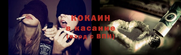 МДПВ Бородино
