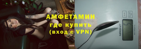 МДПВ Бородино