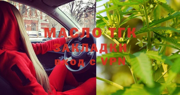 МДПВ Бородино