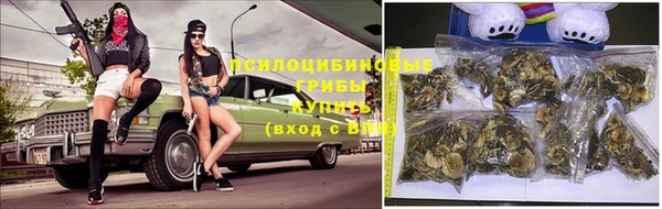 МДПВ Бородино