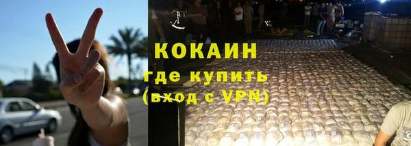 МДПВ Бородино