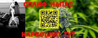 apvp Беслан