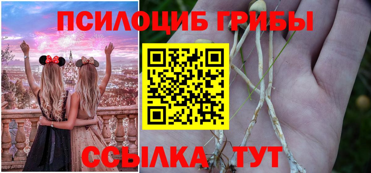 Верхний Уфалей  Псилоцибиновые грибы Psilocybine cubensis  Вход с VPN  Галлюциногенные грибы Psilocybe 