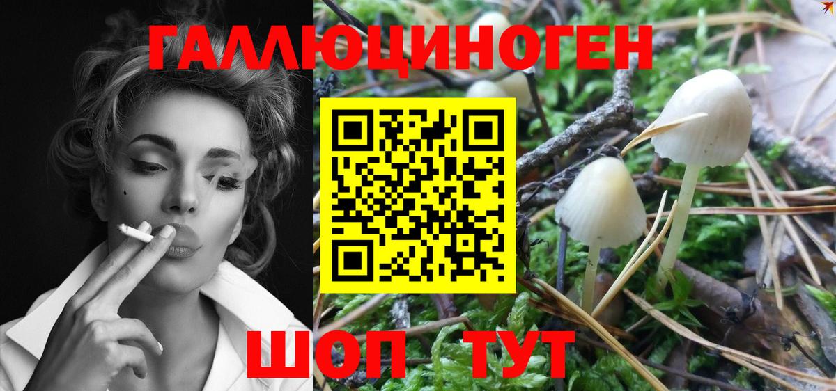 Галлюциногенные грибы мухоморы  Галлюциногенные грибы MAGIC MUSHROOMS  Верхний Уфалей 